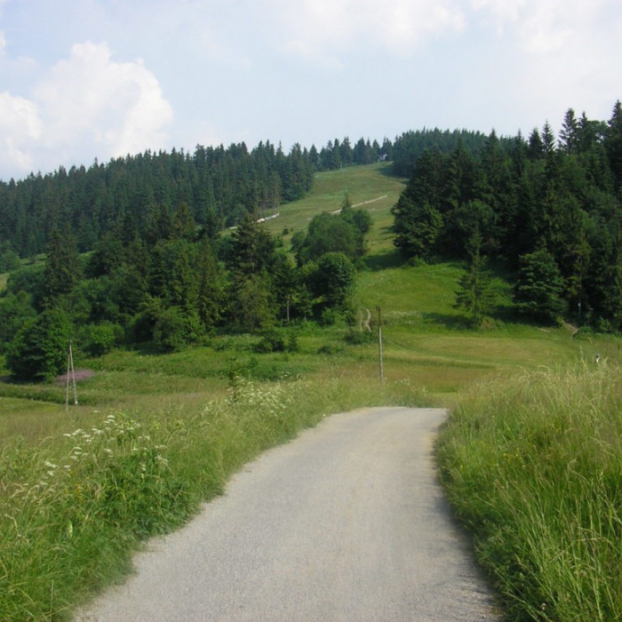  - zdjęcie0